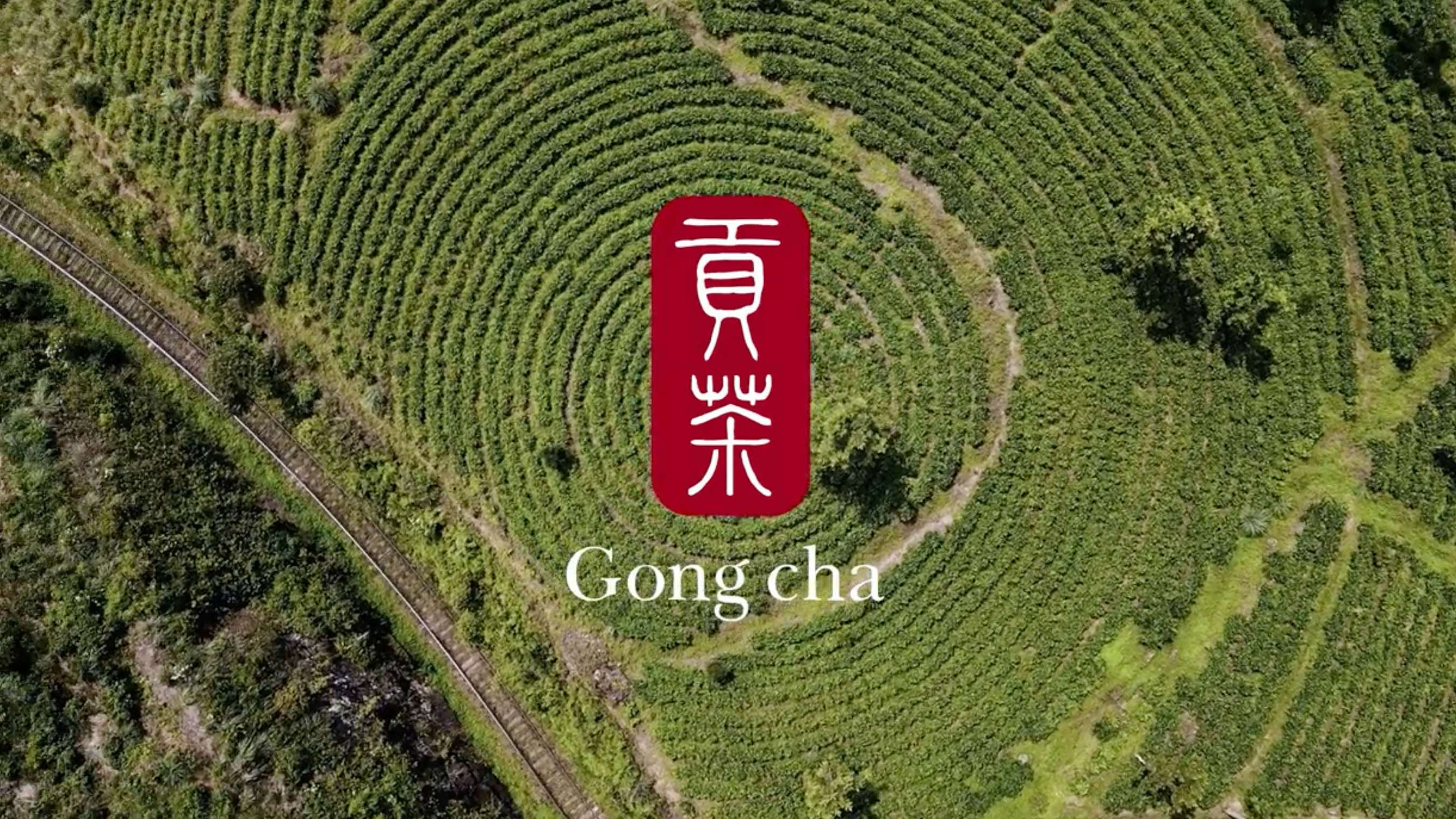 Gong cha image (1)